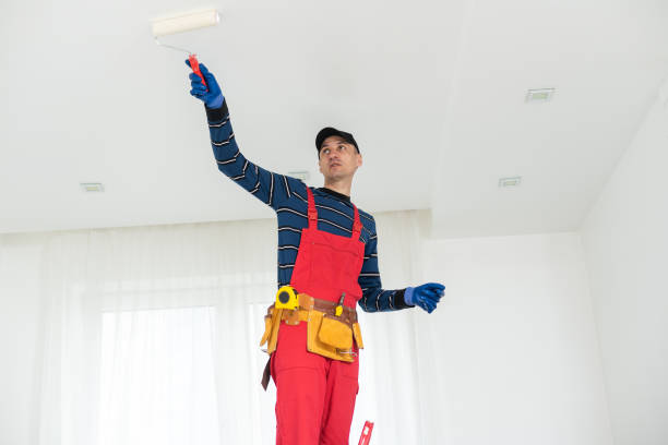 Best Black Mold Removal  in Inverness Highlands South, FL